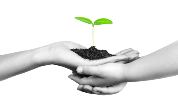 Carbon Neutrality